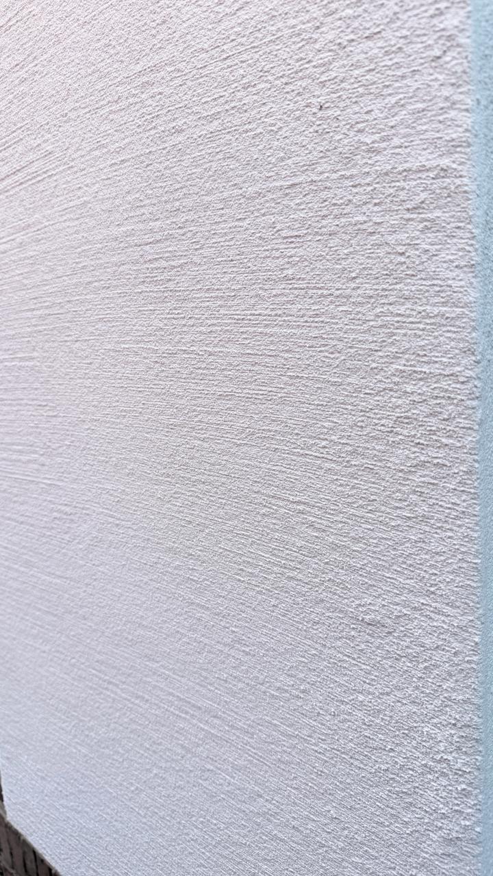 Gevelrenovatie Baumit CreativeTop - Brecht - Kijzer gevelwerken 7